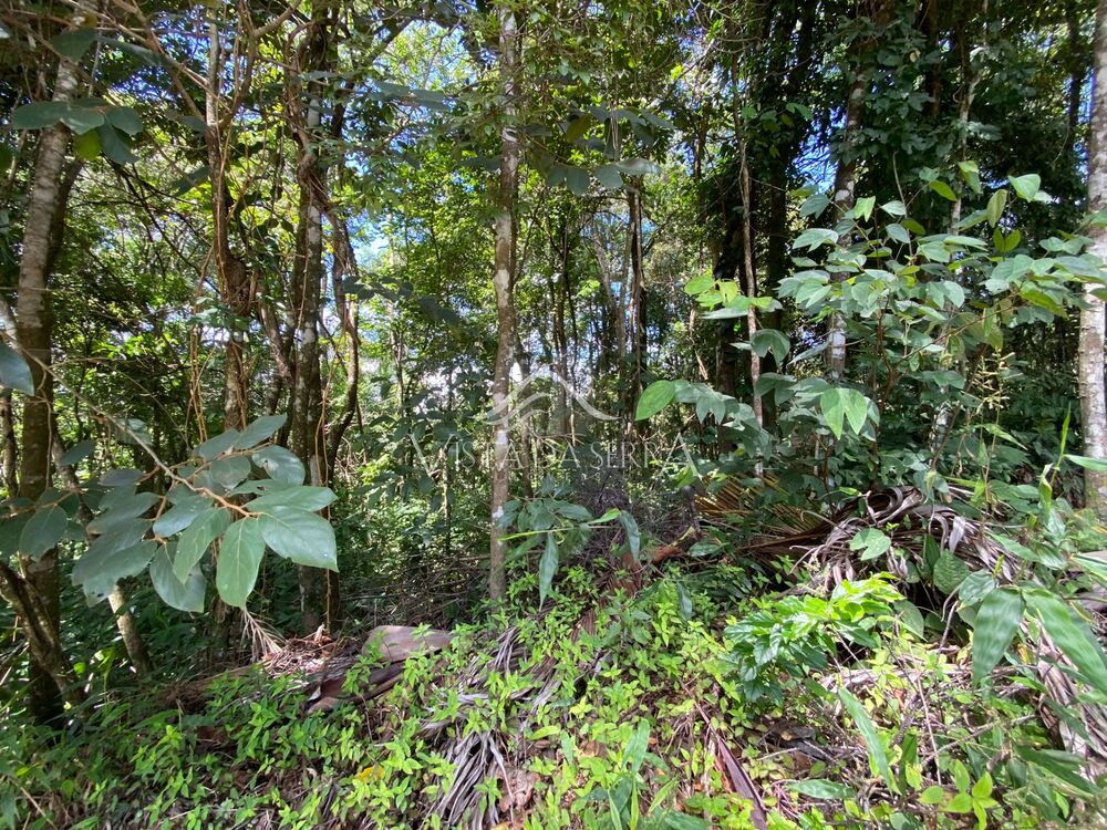 Casa de Condomínio - Foto 2