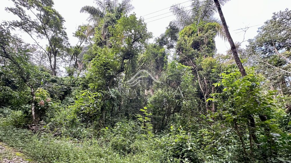 Casa de Condomínio - Foto 2