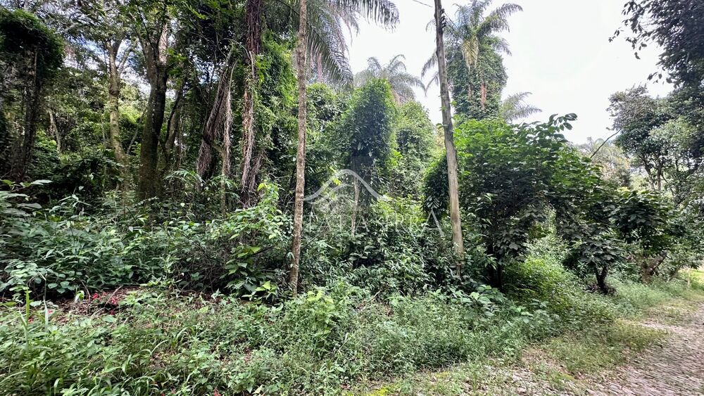 Casa de Condomínio - Foto 1