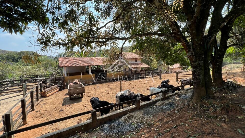 Terreno, 146 hectares - Foto 6