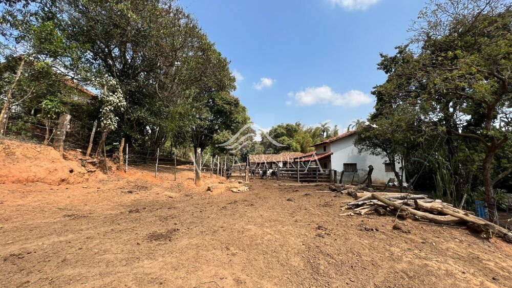 Terreno, 146 hectares - Foto 5