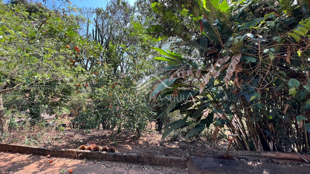 Terreno, 146 hectares - Foto 12