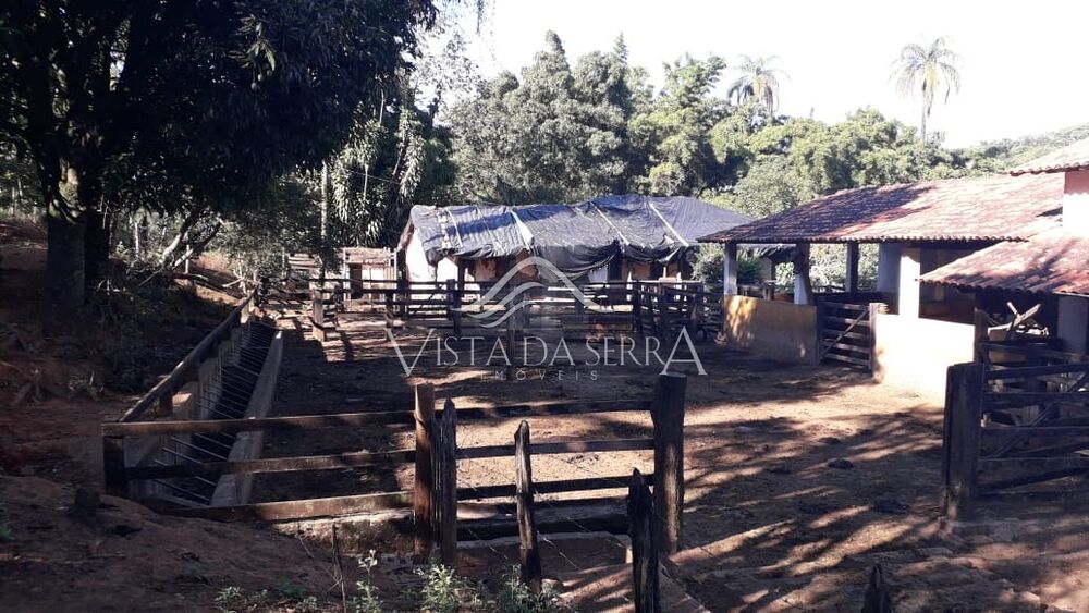 Terreno, 146 hectares - Foto 3