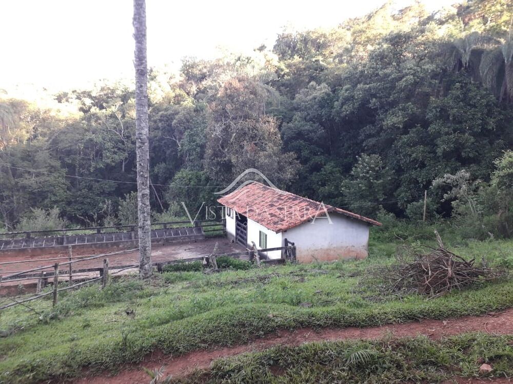 Terreno, 146 hectares - Foto 14