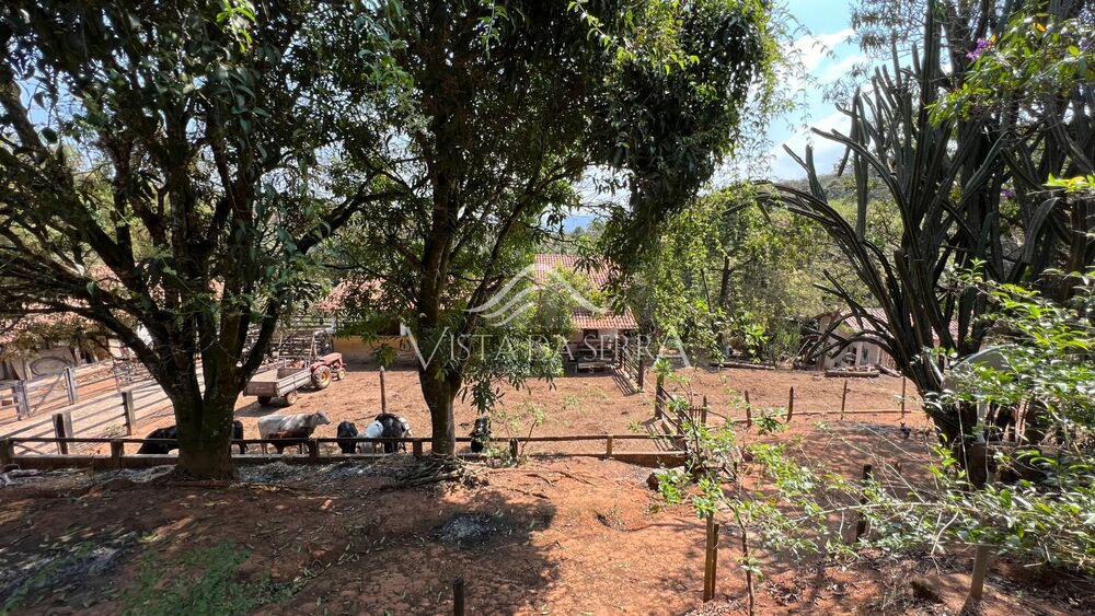 Terreno, 146 hectares - Foto 13