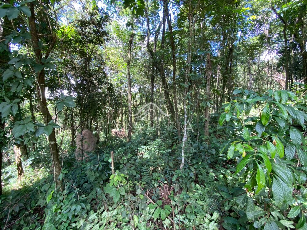 Casa de Condomínio - Foto 3