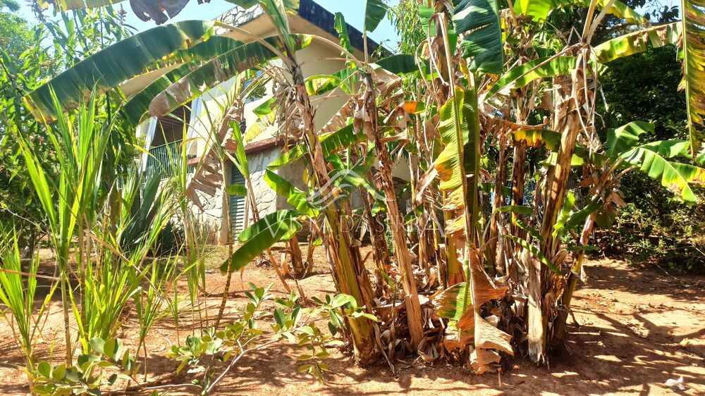 Sítio, 2 quartos, 720 m² - Foto 20