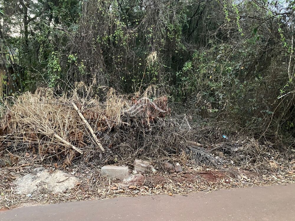 Terreno, 1000 m² - Foto 2
