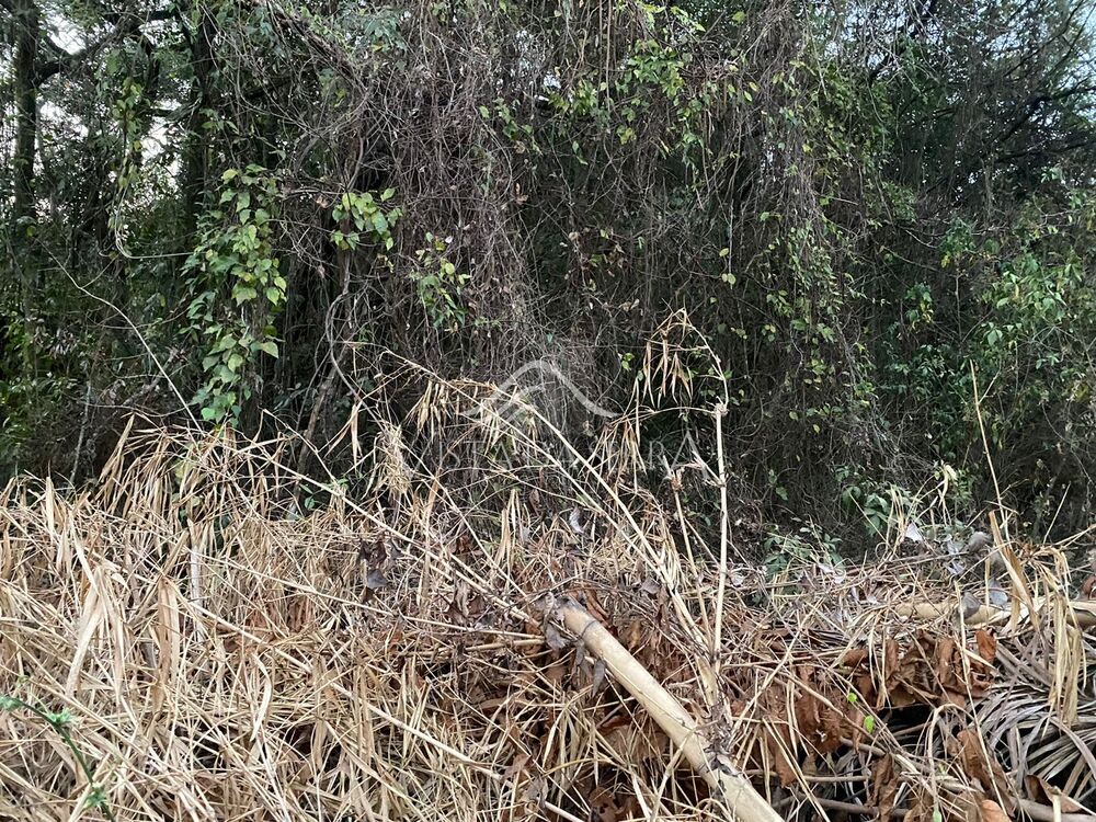 Terreno, 1000 m² - Foto 4