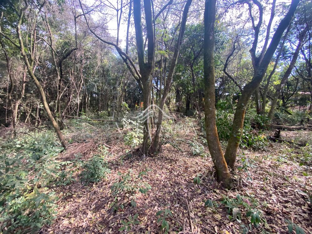 Terreno, 2100 m² - Foto 3