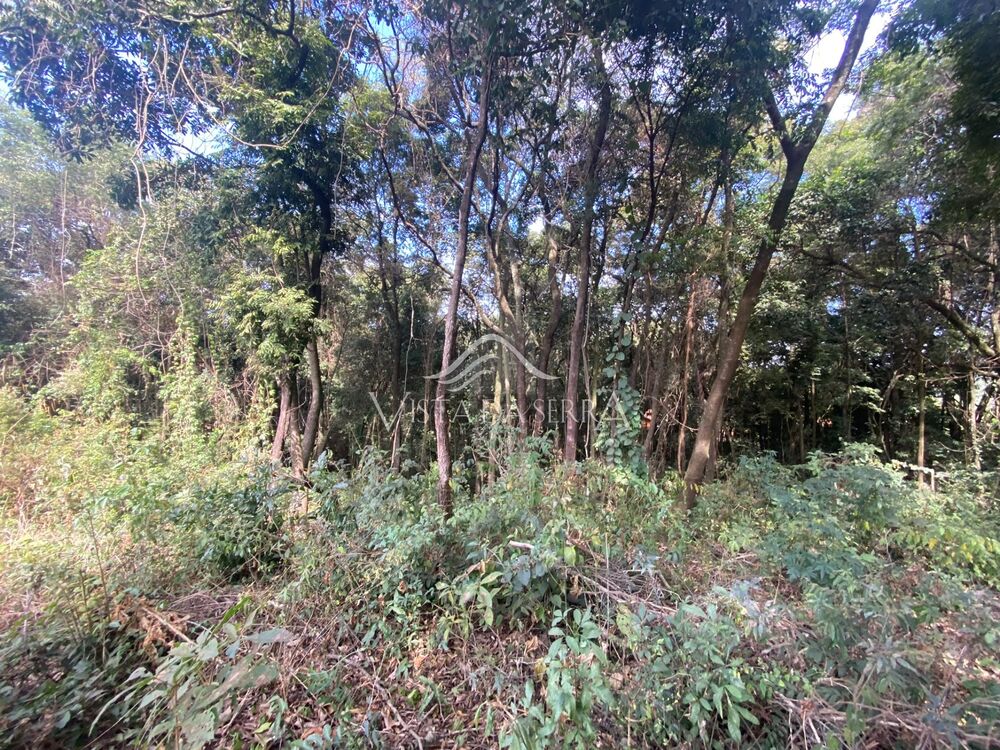 Terreno, 2100 m² - Foto 2