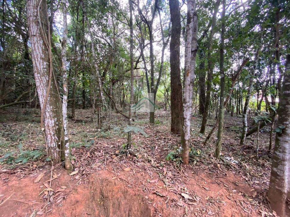 Casa de Condomínio - Foto 1