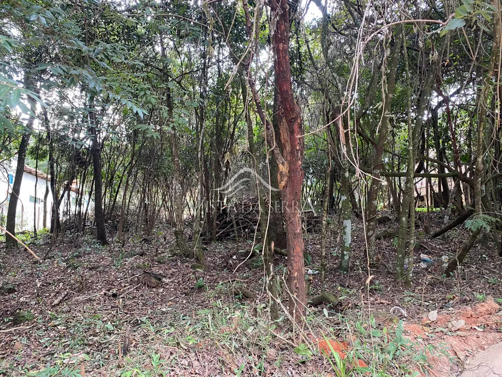 Terreno, 1000 m² - Foto 4