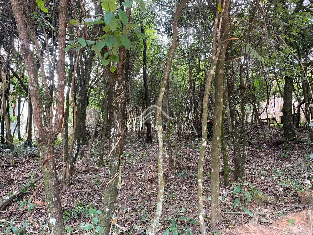 Terreno, 1000 m² - Foto 1