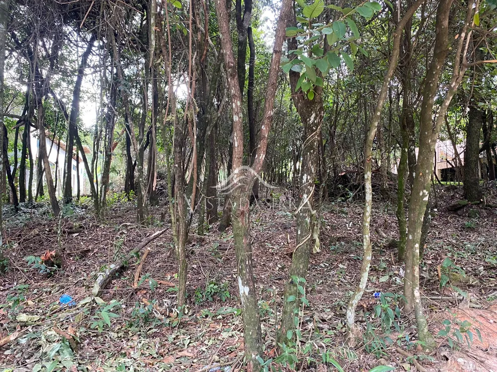 Terreno, 1000 m² - Foto 3