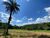 Terreno, 2 hectares - Foto 9