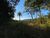 Terreno, 2 hectares - Foto 10