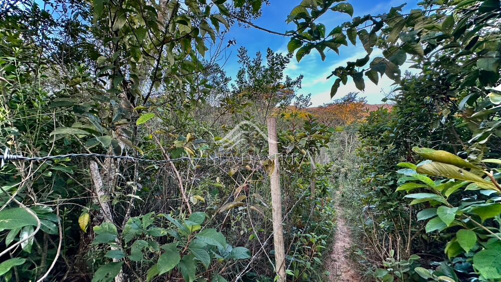 Terreno, 1000 m² - Foto 2