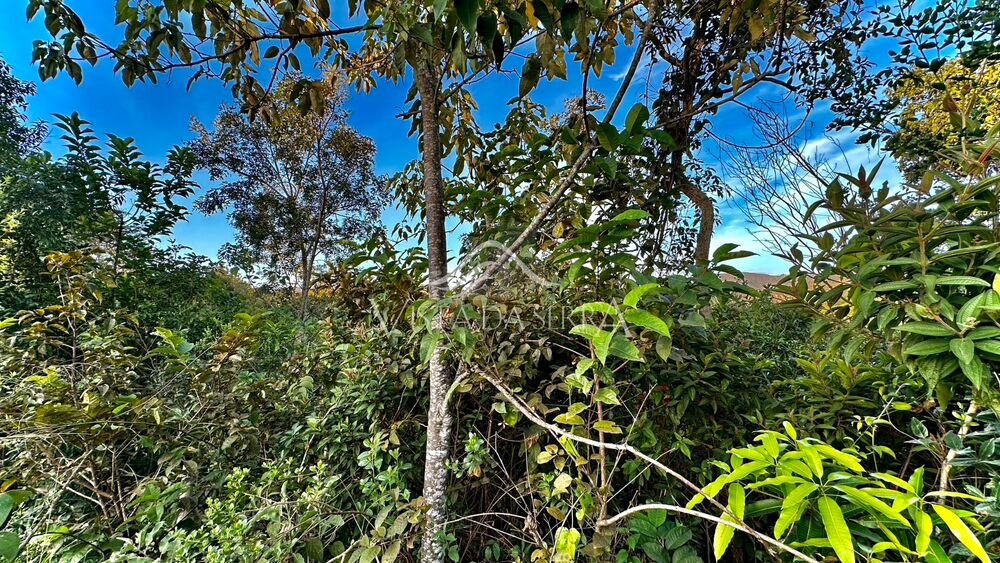 Terreno, 1000 m² - Foto 1