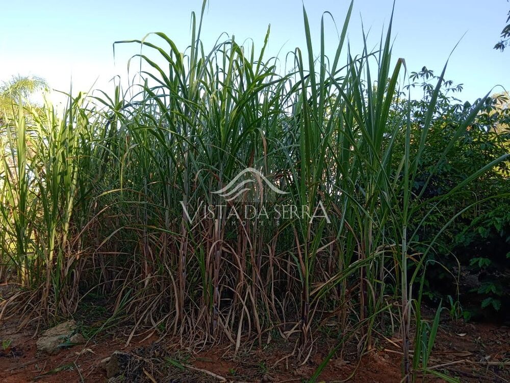 Sítio, 2 quartos, 2 hectares - Foto 15