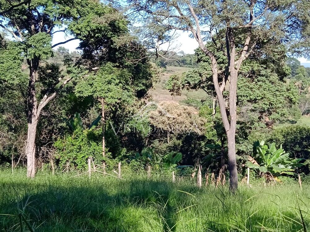 Sítio, 2 quartos, 2 hectares - Foto 20