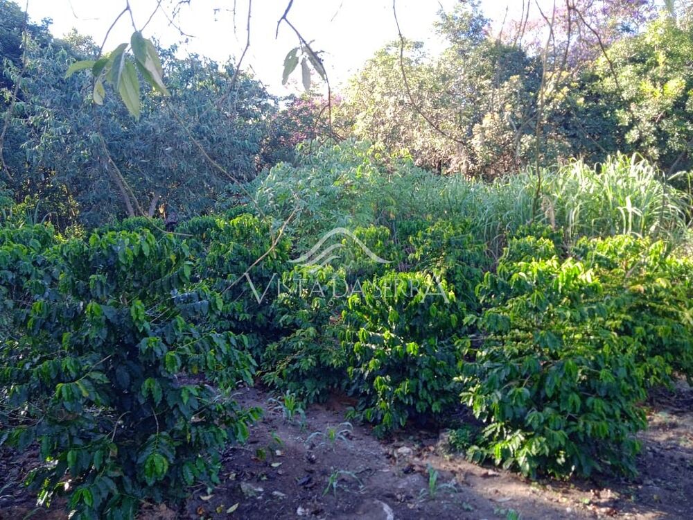 Sítio, 2 quartos, 2 hectares - Foto 12