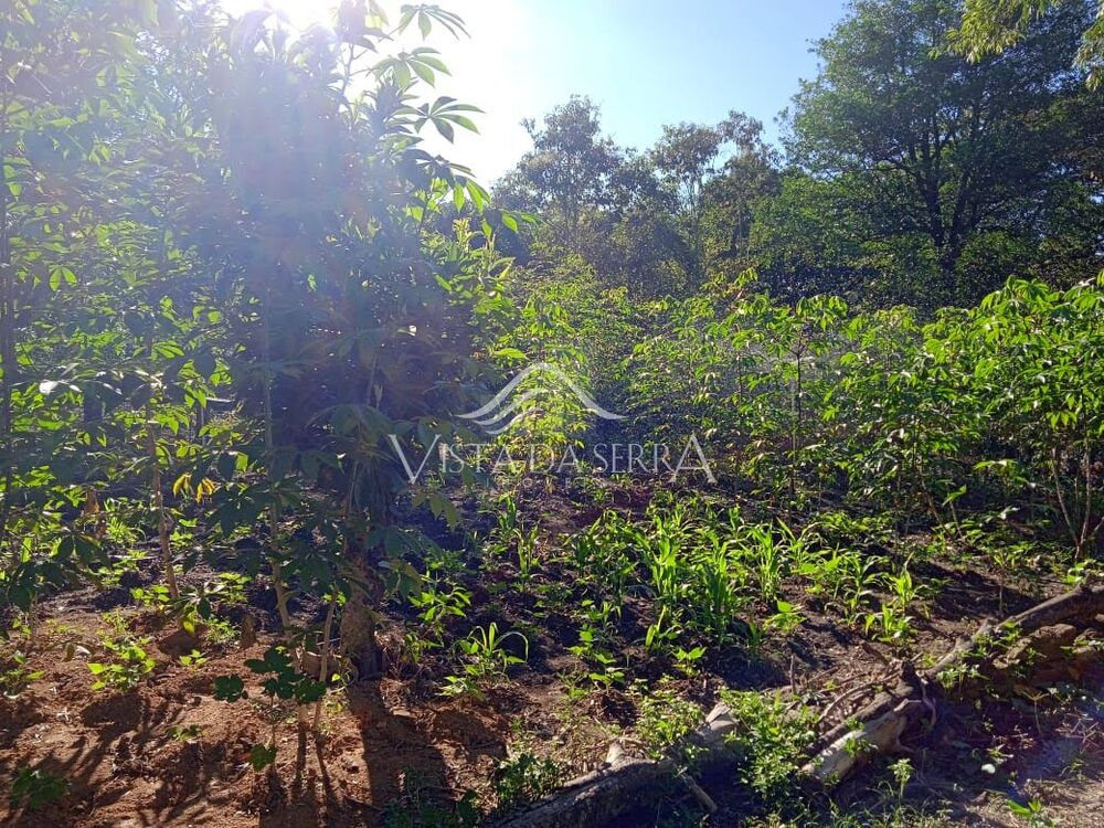 Sítio, 2 quartos, 2 hectares - Foto 6