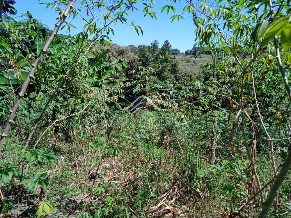 Sítio, 2 quartos, 2 hectares - Foto 19