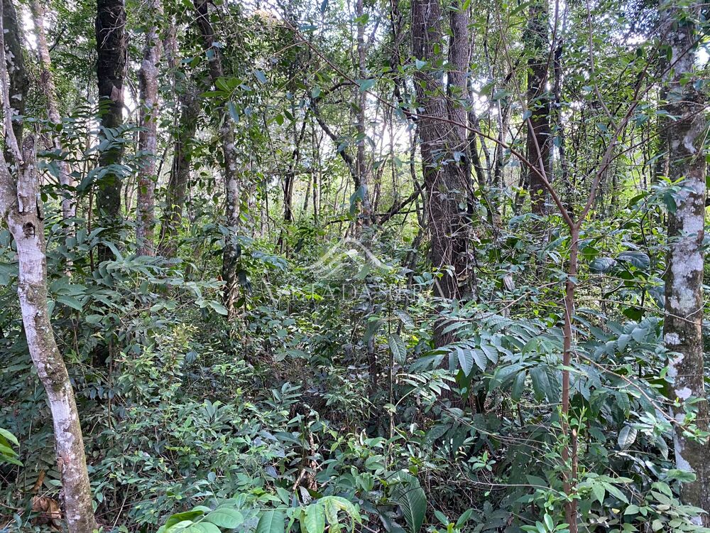 Casa de Condomínio - Foto 2