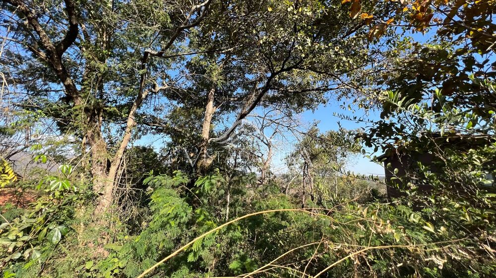 Terreno, 1150 m² - Foto 2