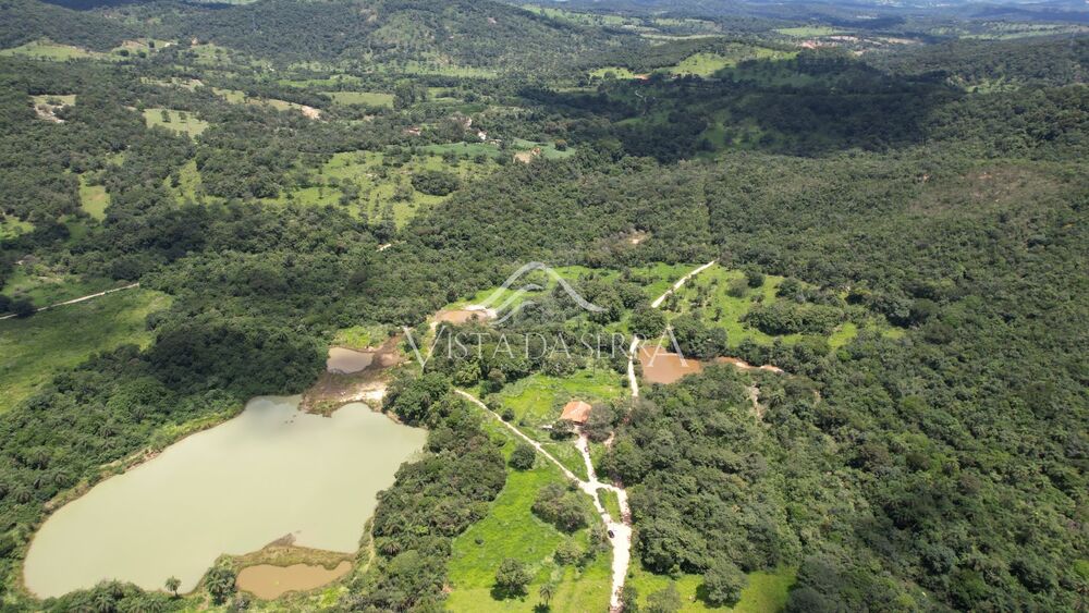 Fazenda, 78 hectares - Foto 3