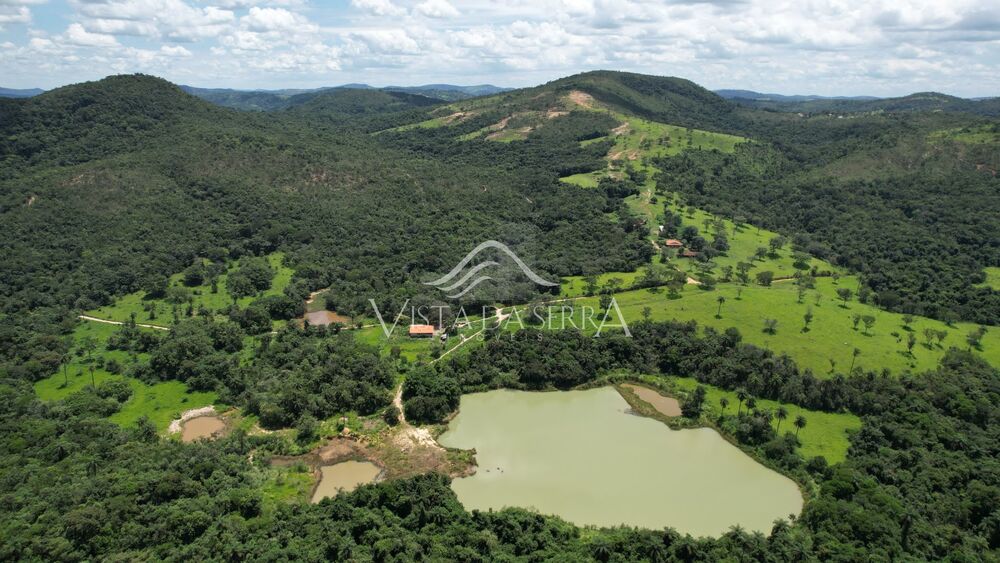 Fazenda, 78 hectares - Foto 8