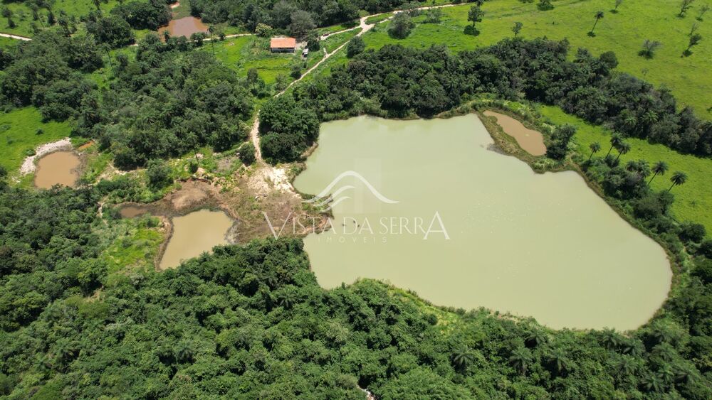 Fazenda, 78 hectares - Foto 9