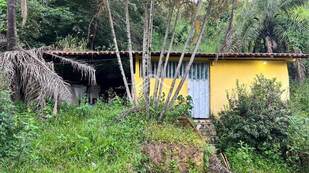 Terreno, 7 hectares - Foto 2