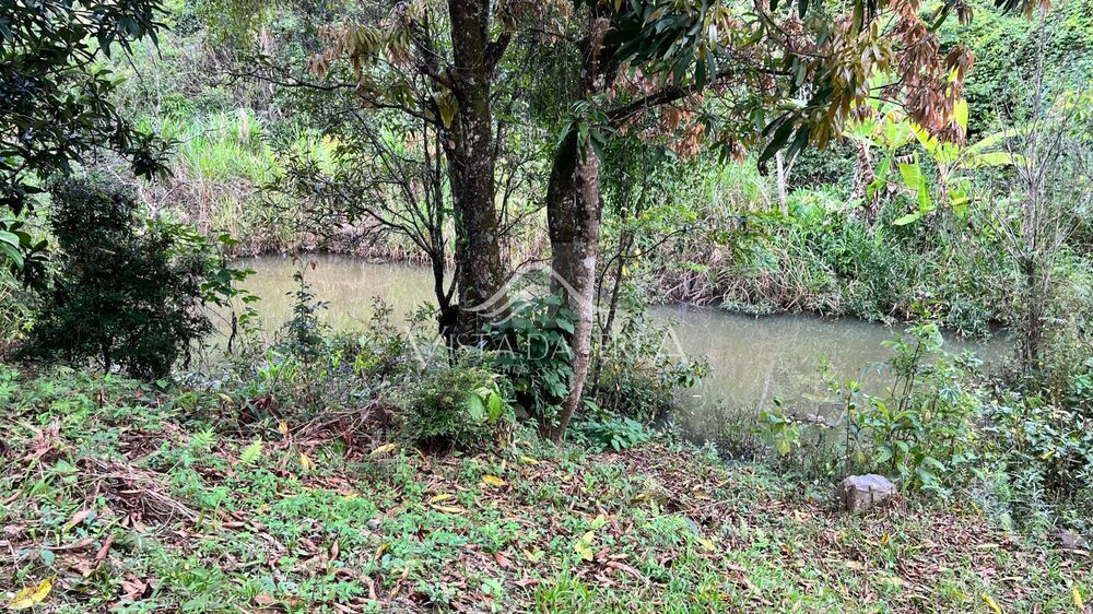 Terreno, 7 hectares - Foto 6