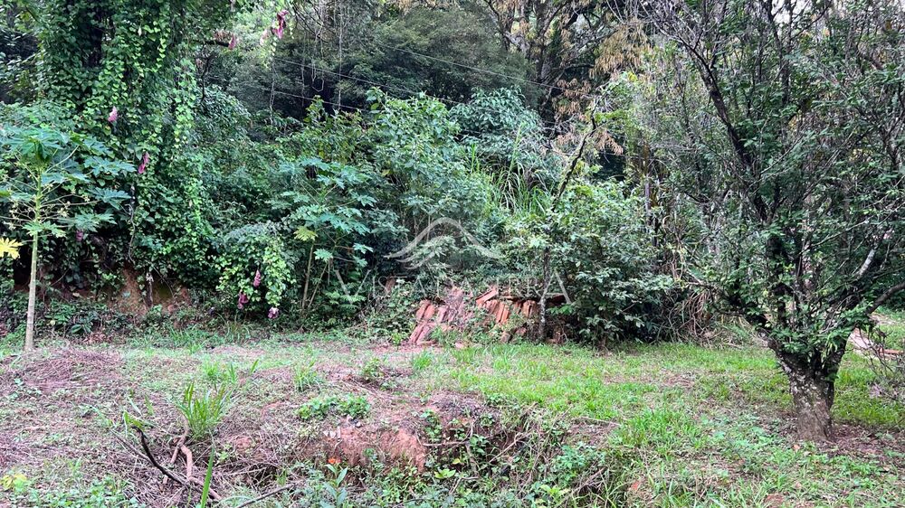 Terreno, 7 hectares - Foto 7