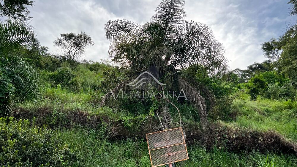 Terreno, 7 hectares - Foto 4