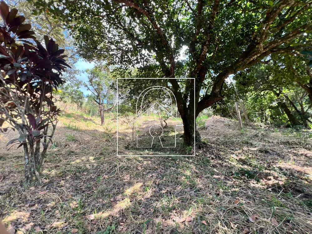 Sítio, 6 quartos, 3300 m² - Foto 11