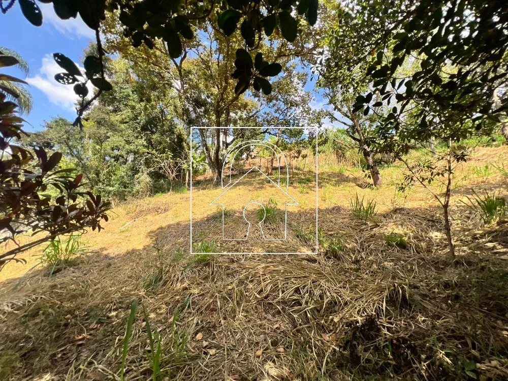 Sítio, 6 quartos, 3300 m² - Foto 4