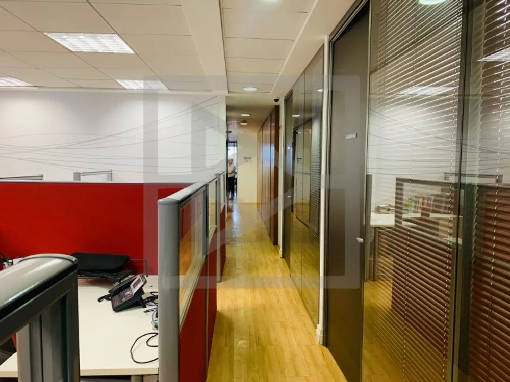 Sala-Conjunto, 256 m² - Foto 4