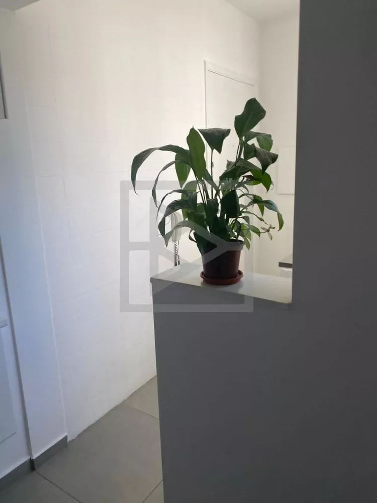 Apartamento à venda com 3 quartos, 100m² - Foto 6