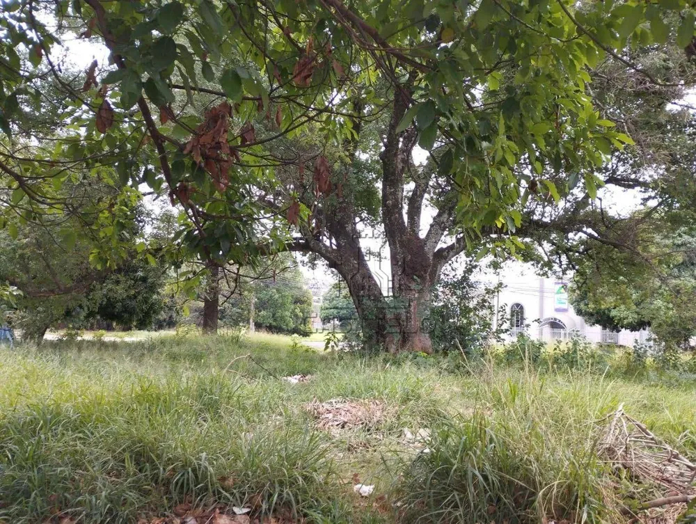 Terreno, 1027 m² - Foto 4