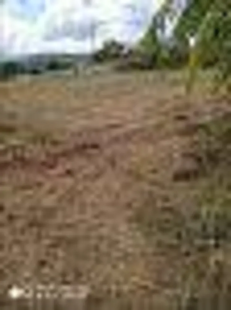 Chácara, 1 quarto, 450 m² - Foto 6