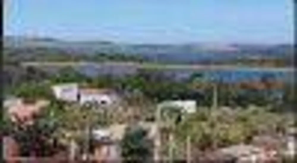 Chácara, 1 quarto, 450 m² - Foto 3