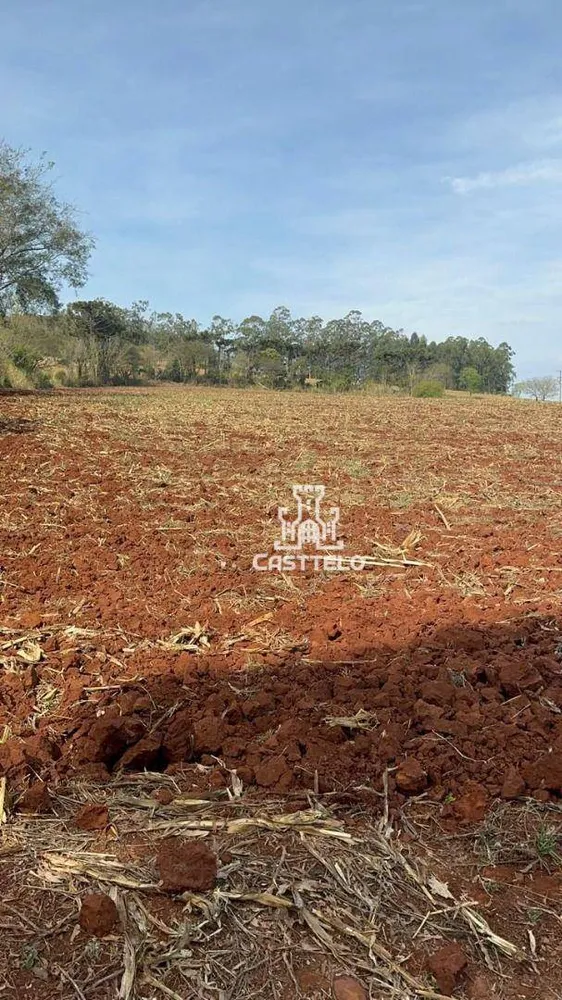 Terreno, 5 hectares - Foto 3