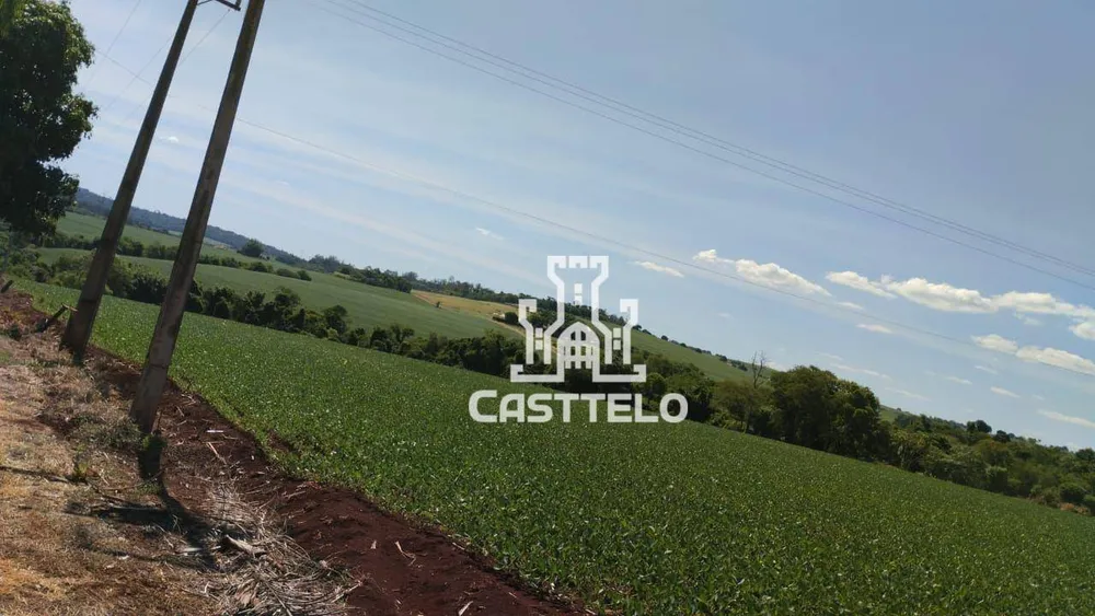 Terreno, 5 hectares - Foto 12