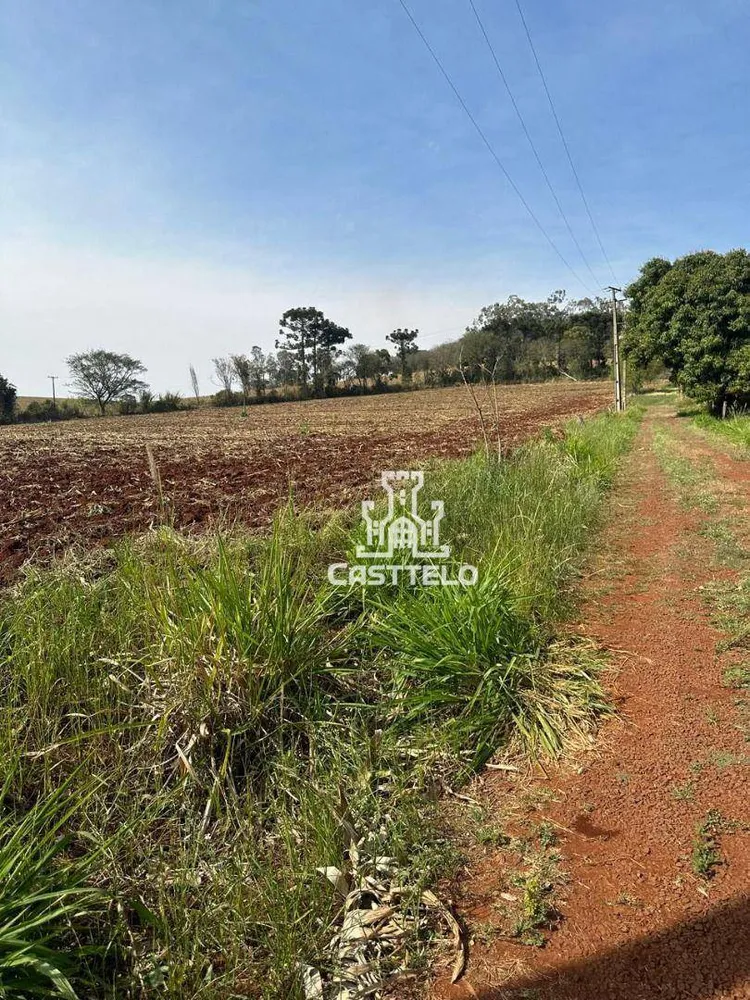 Terreno, 5 hectares - Foto 9