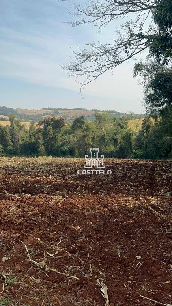 Terreno, 5 hectares - Foto 8