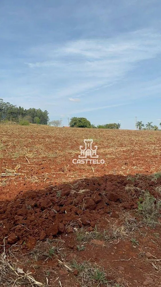 Terreno, 5 hectares - Foto 7