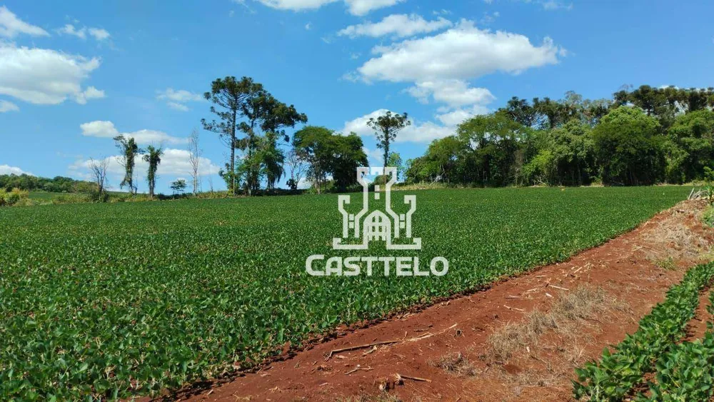 Terreno, 5 hectares - Foto 10